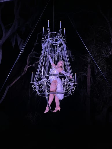 Gallery photo 50 of Cirque Vertigo