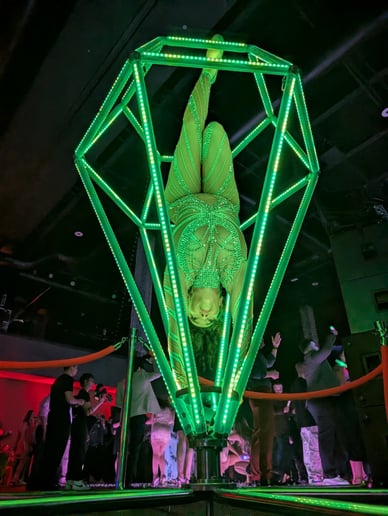 Gallery photo 43 of Cirque Vertigo
