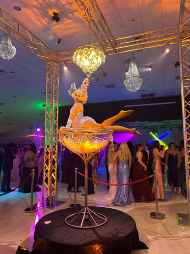 Gallery photo 55 of Cirque Vertigo