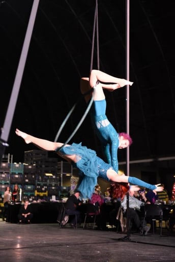 Gallery photo 5 of Cirque Wonderland