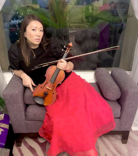Gallery photo 1 of City Violinist