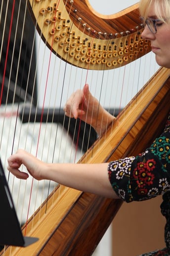 Gallery photo 5 of Claire Greene - Harpist