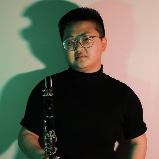 Gallery photo 1 of Clarinetist - Solo/Chamber/Orchestral