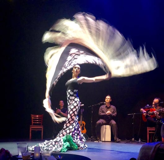 Gallery photo 5 of Clarita Filgueiras - Flamenco Puro