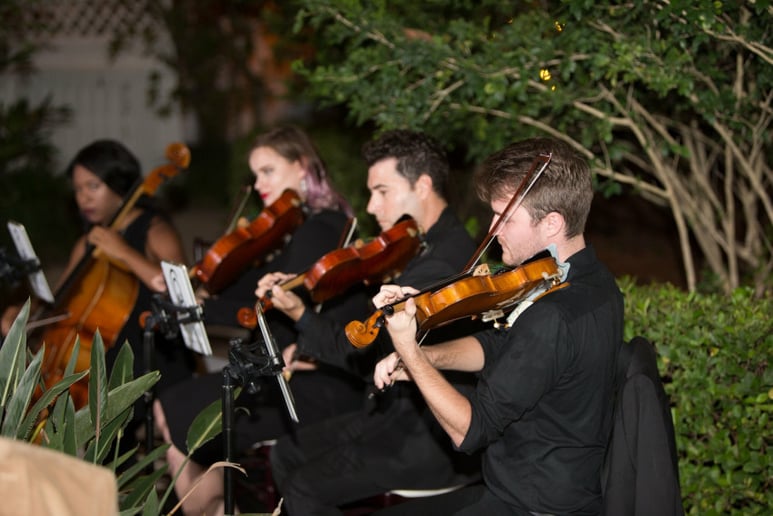 Gallery photo 6 of Classern Quartet