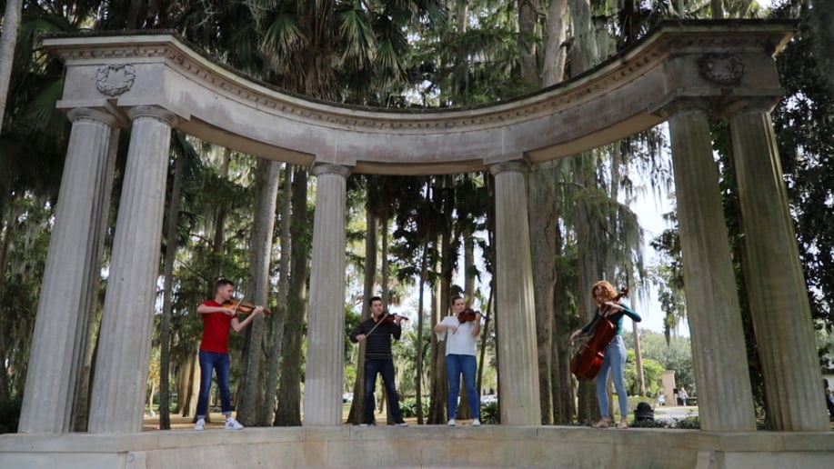 Gallery photo 14 of Classern Quartet