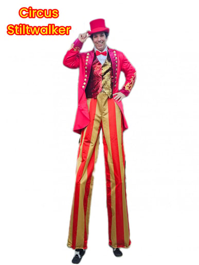 Gallery photo 8 of Sensational Circus