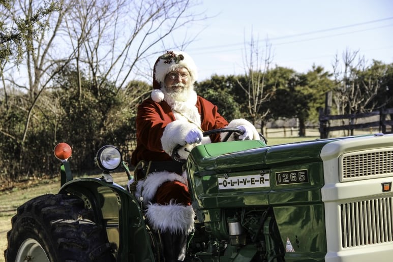 Gallery photo 23 of Classic Claus