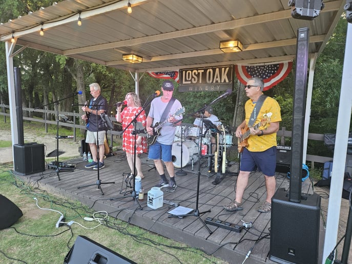 Gallery photo 5 of The Cover Bandits Band