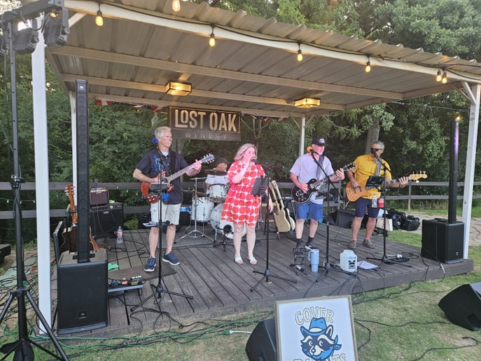 Gallery photo 6 of The Cover Bandits Band