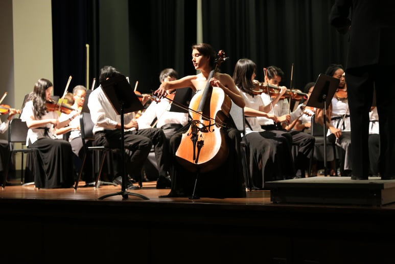 Gallery photo 2 of Classical and Pop Cellist