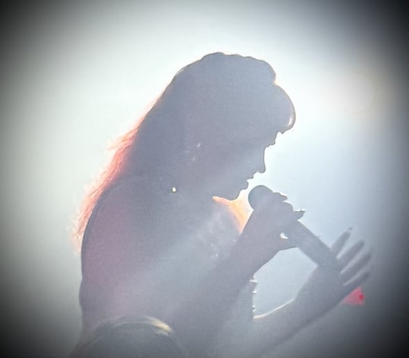 Gallery photo 3 of Classical Crossover Vocalist