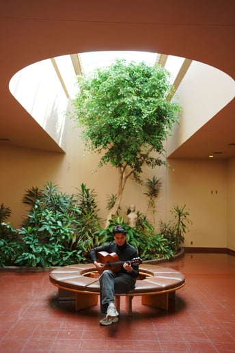 Gallery photo 1 of SF Classical Guitar Music