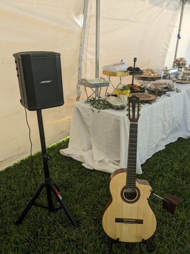 Gallery photo 5 of Classical Guitarist for Elegant Events