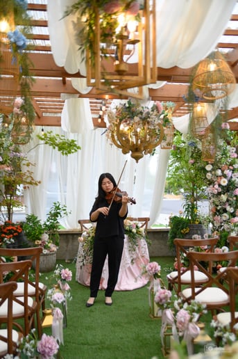 Gallery photo 1 of Classical violin and pop performances