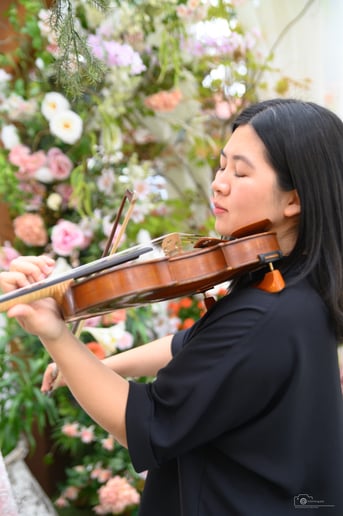 Gallery photo 2 of Classical violin and pop performances