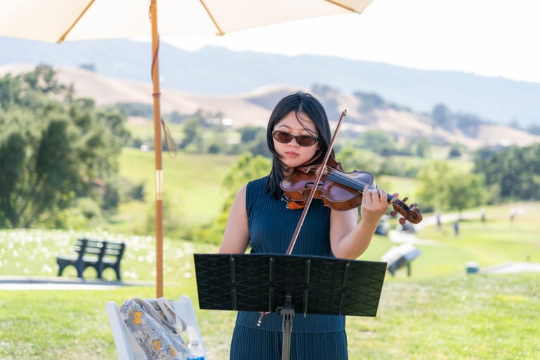 Gallery photo 3 of Classical violin and pop performances