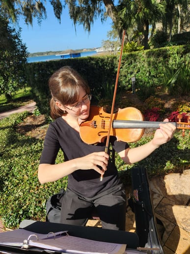 Gallery photo 5 of Classical Violin