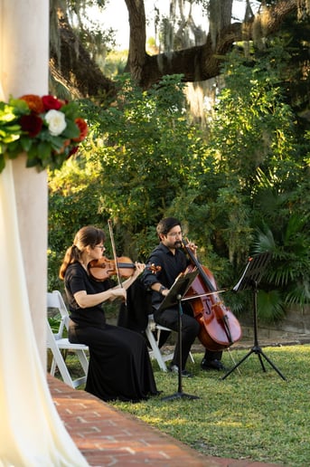 Gallery photo 10 of Classical Violin