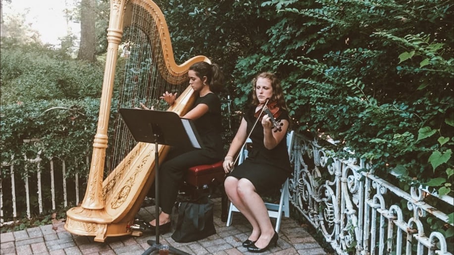 Gallery photo 2 of Classically Trained Harpist and Vocalist