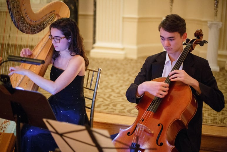 Gallery photo 8 of Classically Trained Harpist and Vocalist