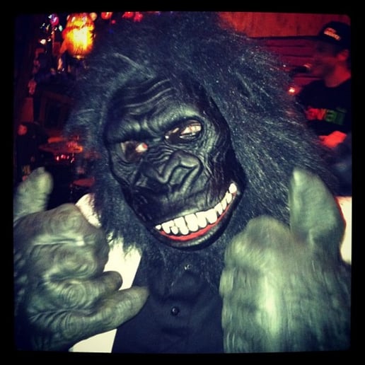 Gallery photo 3 of Classy Gorilla Singing Telegrams