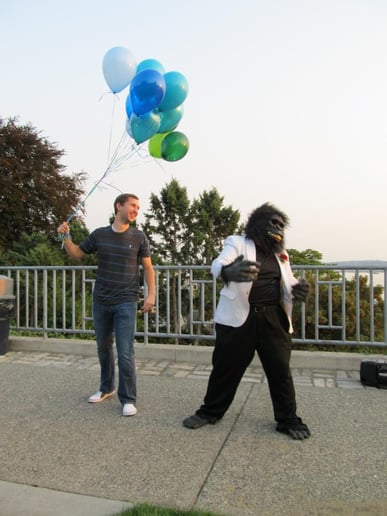 Gallery photo 5 of Classy Gorilla Singing Telegrams