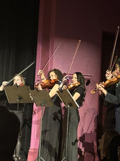 Gallery photo 2 of Classy Violinist