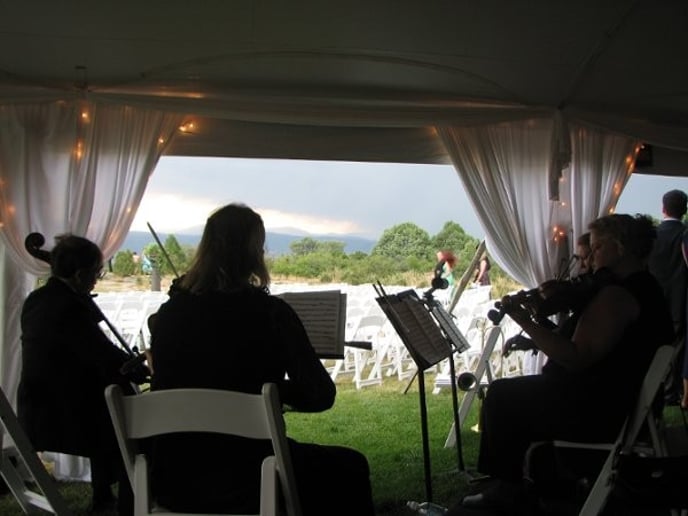 Gallery photo 32 of Cloud 9 Strings