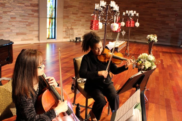 Gallery photo 30 of Cloud 9 Strings
