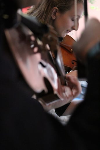 Gallery photo 10 of Cloud 9 Strings