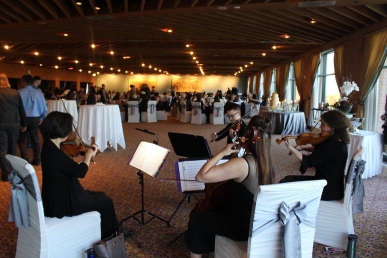 Gallery photo 22 of Cloud 9 Strings
