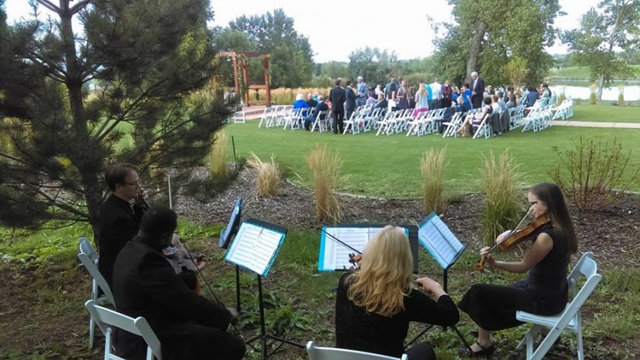 Gallery photo 26 of Cloud 9 Strings