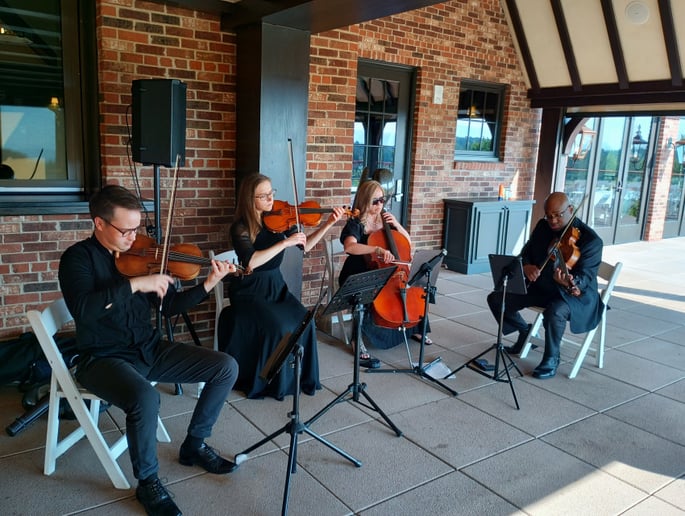 Gallery photo 47 of Cloud 9 Strings