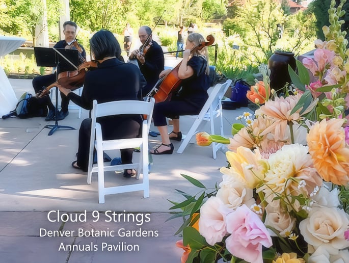 Gallery photo 48 of Cloud 9 Strings