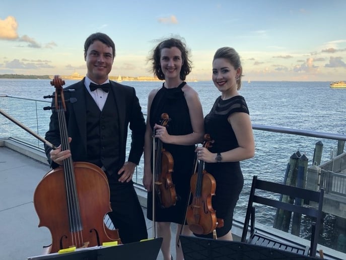 Gallery photo 9 of Coastal Chamber Musicians