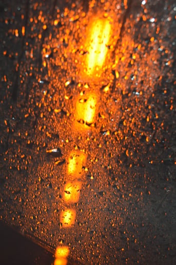 Gallery photo 3 of Coastal Creative Photos