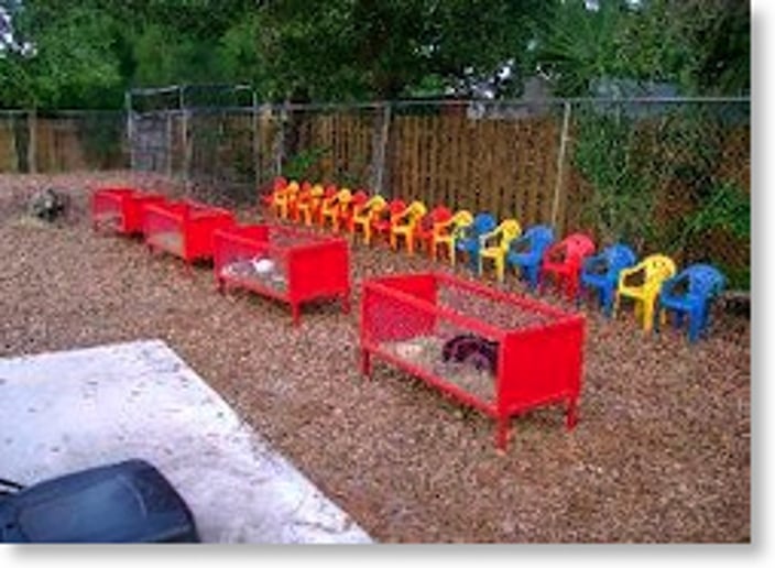 Gallery photo 17 of Cock-A-Doodle-Doo Farms