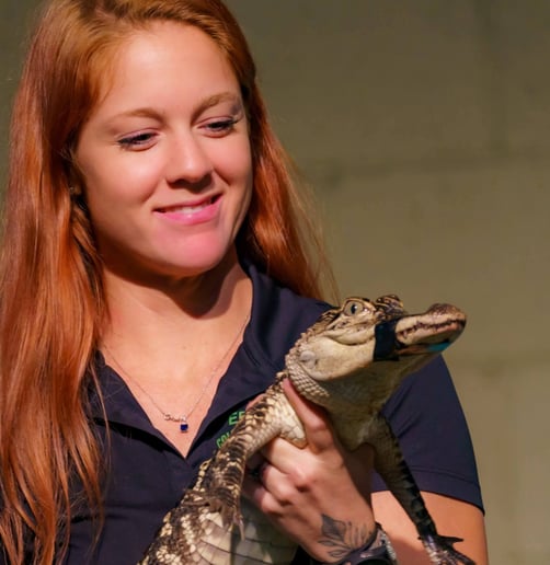 Gallery photo 4 of Cold Blooded Parties