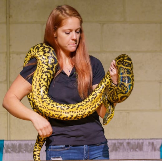 Gallery photo 5 of Cold Blooded Parties