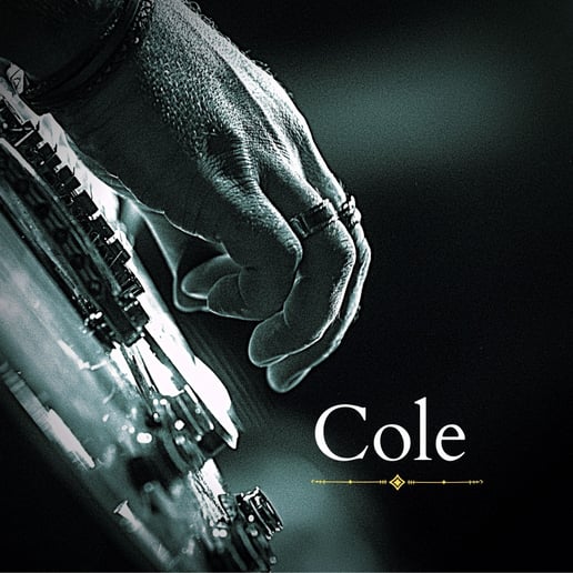 Gallery photo 6 of Cole Campbell & Indigo Mojo