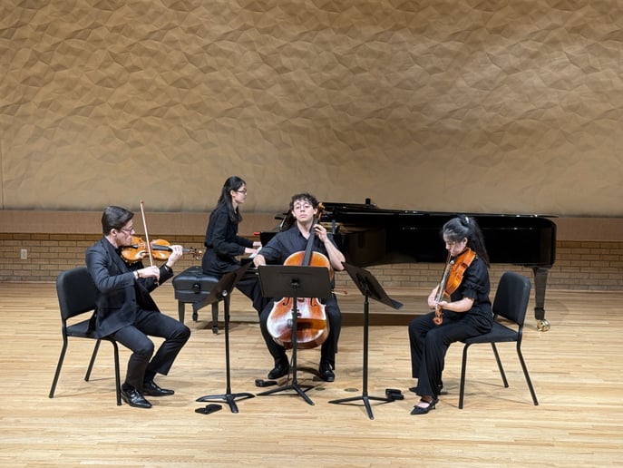 Gallery photo 1 of Collaborative and Solo cellist all genre