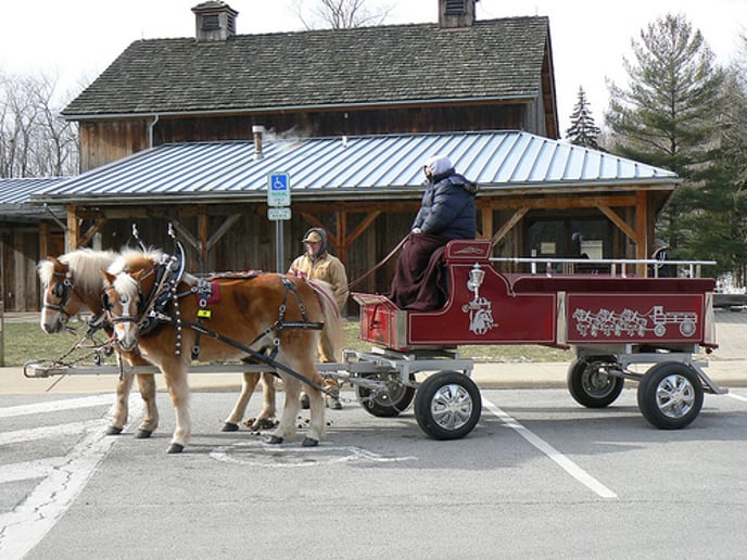 Gallery photo 2 of Colonial Acres Carriage Service