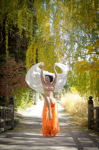 Gallery photo 5 of Carlyn De'Von BellyDance