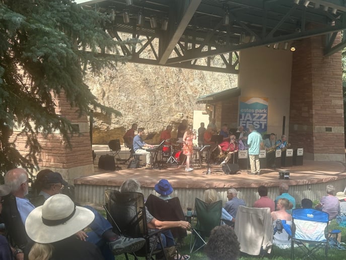 Gallery photo 6 of Colorado Swing
