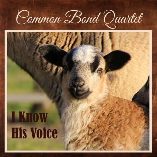 Gallery photo 5 of Common Bond Quartet
