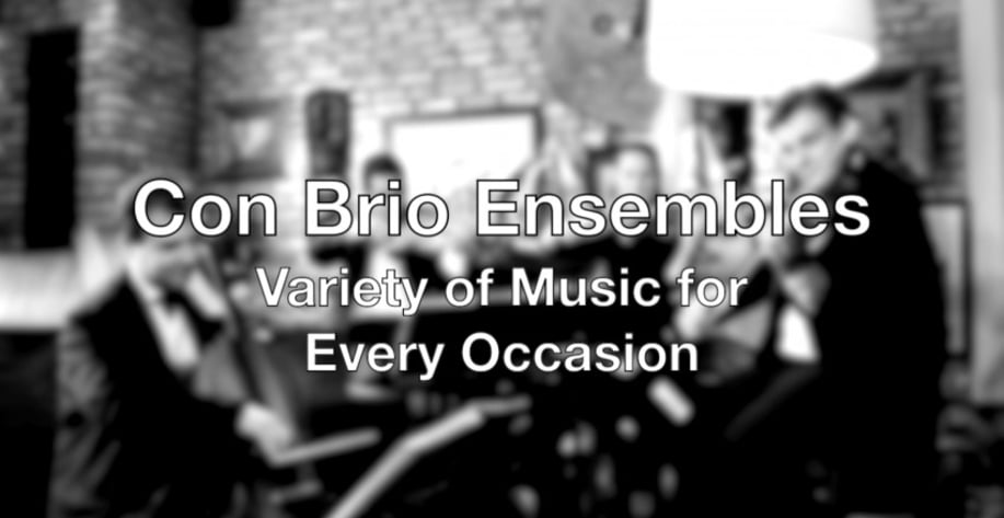 Gallery photo 4 of Con Brio Ensembles