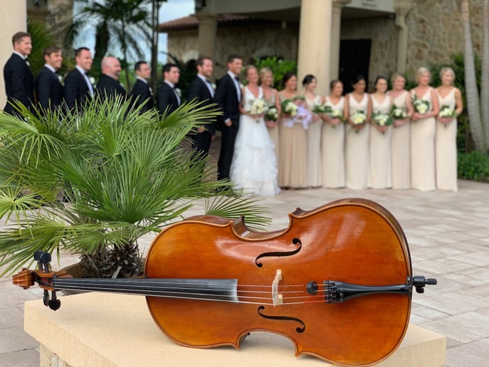 Gallery photo 7 of Con Brio Ensembles