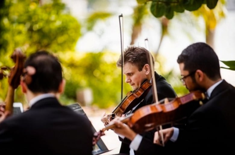Gallery photo 9 of Con Brio Ensembles