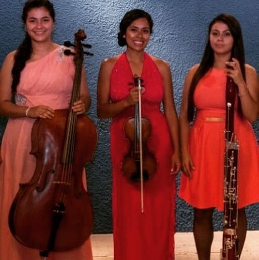 Gallery photo 7 of Sara Rodriguez, Concert Violinist